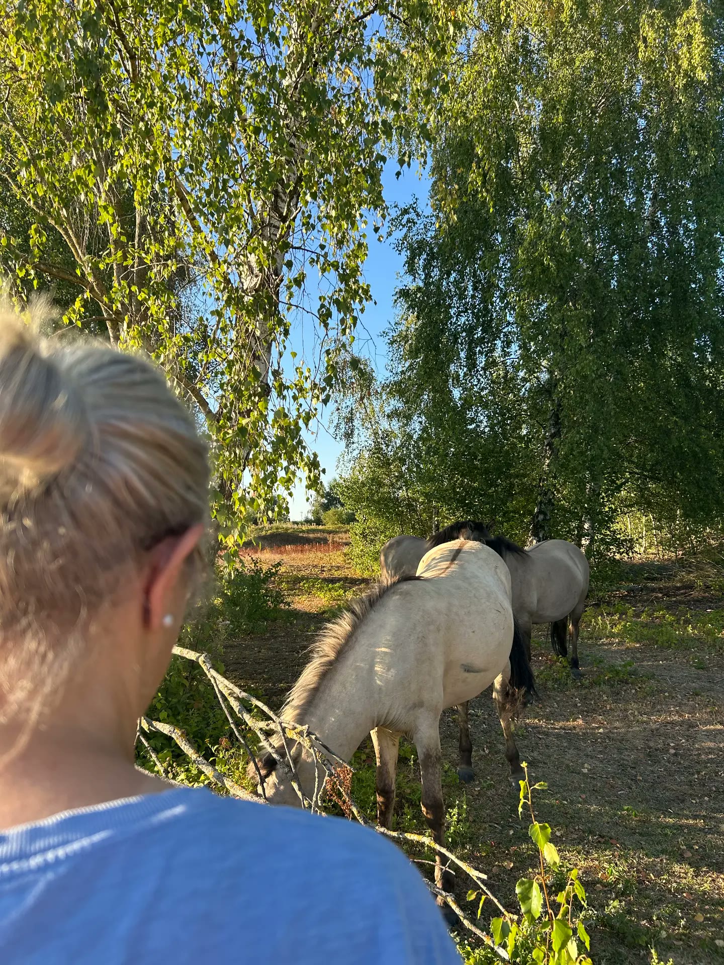 Samen naar de paarden kijken tussen de bomen